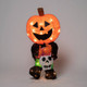 New - Light Up Pumpkin Trick-or-Treater Halloween Novelty Sculpture Light - Hyde & EEK! Boutique