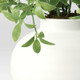 New - Artificial Berries and Leaves in Pot - Threshold