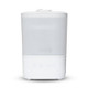 New - Safety 1st Comforting Cool Mist Top-Fill Humidifier