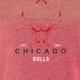 NBA Chicago Bulls Women's Burnout Crew Neck Retro Logo Fleece Sweatshirt - M