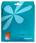 Toalson Asterisk 18 1.20mm Squash Set Toalson Asterisk 18 1.20mm Squash Set