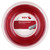 MSV Focus-Hex 17L 1.18mm 200M Reel MSV Focus-Hex 17L 1.18mm 200M Reel