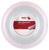 MSV Focus-Hex 17L 1.18mm 200M Reel MSV Focus-Hex 17L 1.18mm 200M Reel