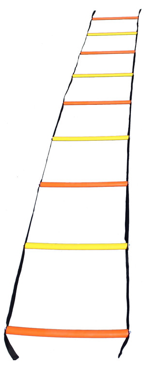 OnCourt OffCourt KidzLadder Court Ladder