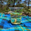 Dispoable Wine Glass  with 150ml W&M pour line