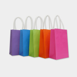 Coloured Paper Bags