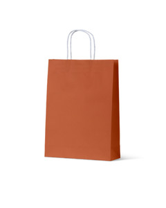 Earth Collection Bags- Burnt Orange -Medium