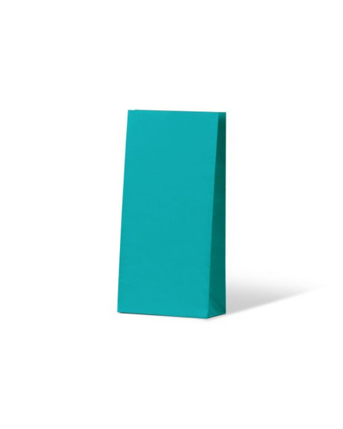 Beach Blue Coloured Gift Paper Bag