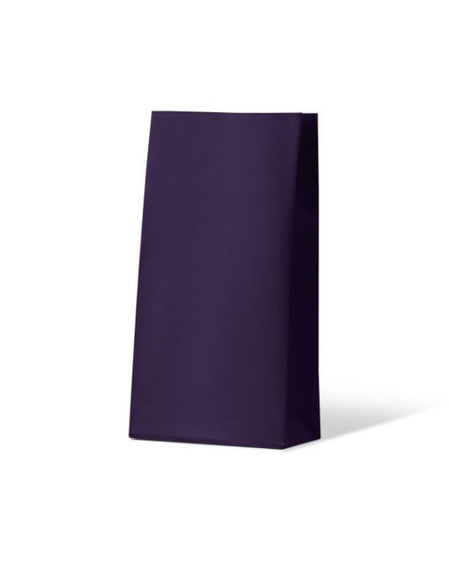 Passion Purple Medium Coloured Gift Paper Bag