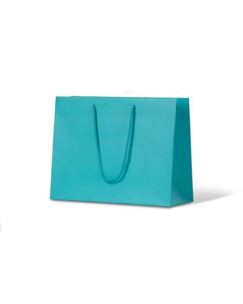 Laminated Matte Ruby Aqua Paper Bag