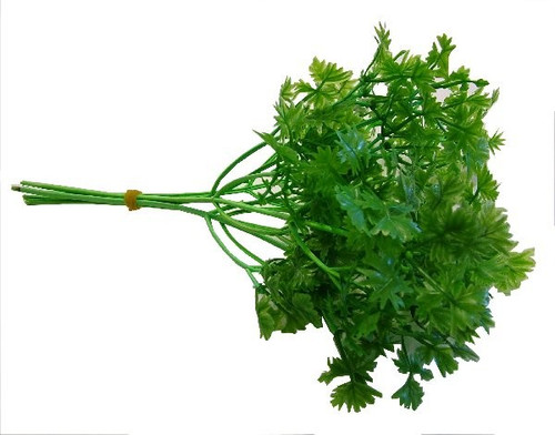Artificial Food Parsley Bunch (5 sprig )