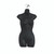 Female Body Form 