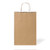 #16 Recycled Kraft Carry Bag Carton 200