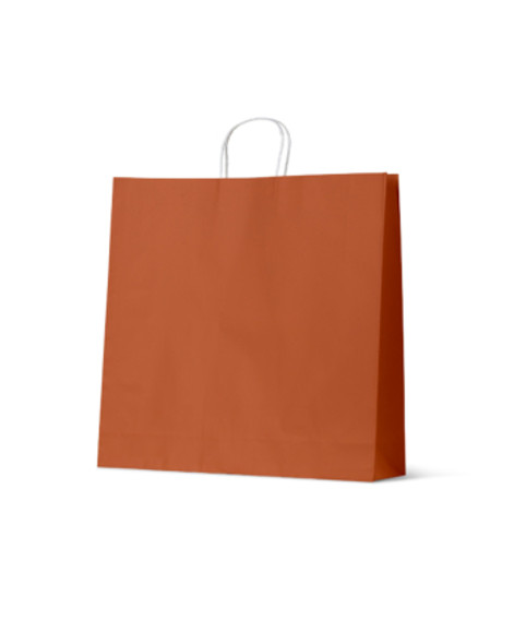 Earth Collection Bags- Burnt Orange -Extra Large