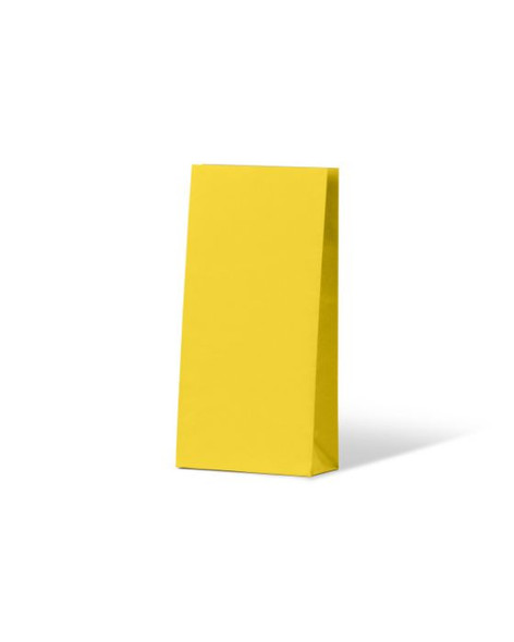 Sunny Yellow Coloured Gift Paper Bag