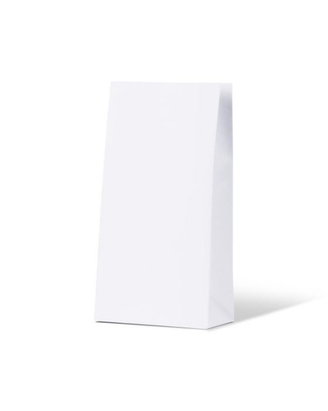 White Medium Coloured Gift Paper Bag