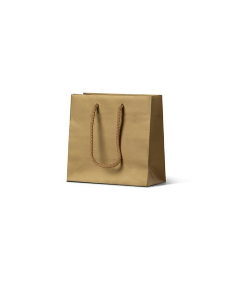 Laminated Matte Petite Gold Paper Bag