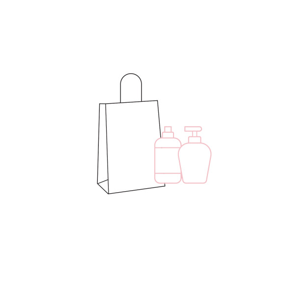 #10 Kraft Bag Twist Handle Carton 250