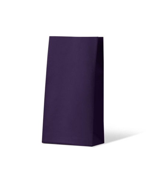 Passion Purple Medium Coloured Gift Paper Bag
