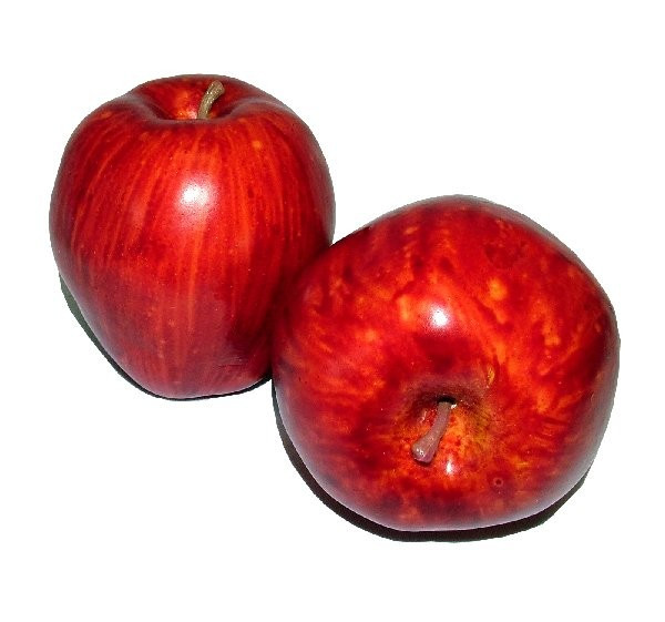 Artificial Food - Apple Red
