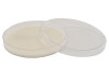 Clear plastic Petri dish containing light-colored solid agar medium, with its matching lid resting beside it.