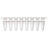Clear plastic 0.1mL 8-strip PCR tubes and a separate strip of 8 flat caps.