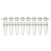 Clear 8-strip PCR tubes and matching dome caps displayed horizontally against a white background.