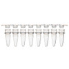 An 8-strip of clear 0.2mL PCR tubes numbered 1 to 8, shown below a matching 8-strip of flat caps.