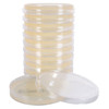 Hardy Diagnostics Potato Dextrose Agar (PDA) with Chloramphenicol for fungal cultures, 100/cs