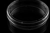 CellMAX 60 x 15mm Tissue Culture Treated Dishes, Stackable, Sterile, 500pcs/case (25 packs of 20)