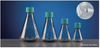 Four clear plastic Erlenmeyer flasks with teal screw caps and volume graduations, in descending sizes.