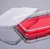 CellMAX™ Single Well Cell Culture Plate, Flat Bottom, Sterile, Clear Lid, TC Treated, Individually-packaged, 86 cm² Growth Area, 50/cs