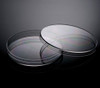 150 x 25 mm Non-treated Petri Dish, Sterile, 5/pk, 100/cs