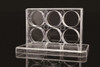 6 Well Low Evap EDGE Plate, Flat Bottom, Non-Treated, Sterile, 1/pk, 50/cs 6 Well Low Evap EDGE Plate, Flat Bottom, Non-Treated, Sterile, 1/pk, 50/cs