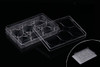 6  Well Low Evap EDGE Plate, Flat Bottom, TC, Sterile, 1/pk, 50/cs 6  Well Low Evap EDGE Plate, Flat Bottom, TC, Sterile, 1/pk, 50/cs