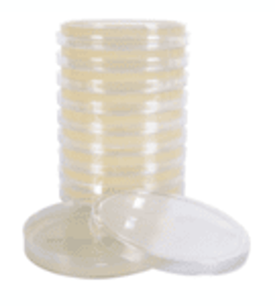 Media and Agar Media and Agar
