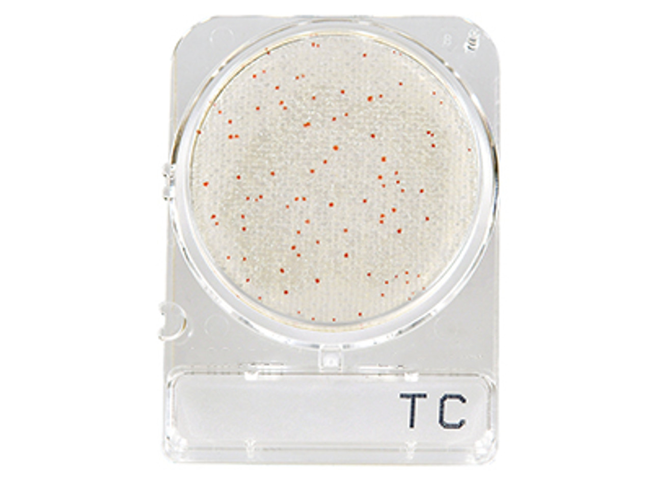 Hardy Diagnostics CompactDry Total Bacterial Plate Count (TC) Plates, 240 Plates/Pack
