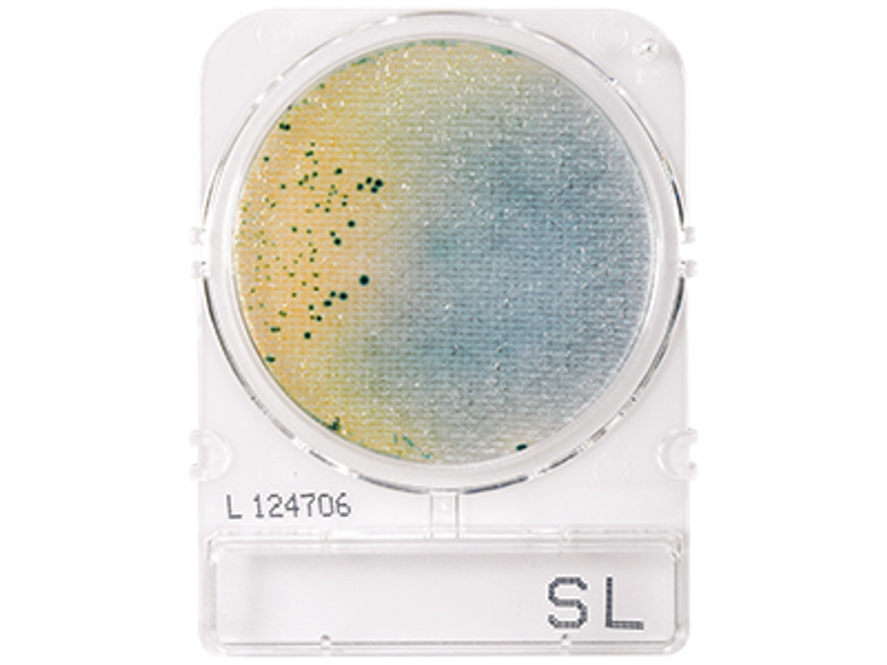 Hardy Diagnostics CompactDry plates Salmonella Hardy Diagnostics CompactDry plates Salmonella