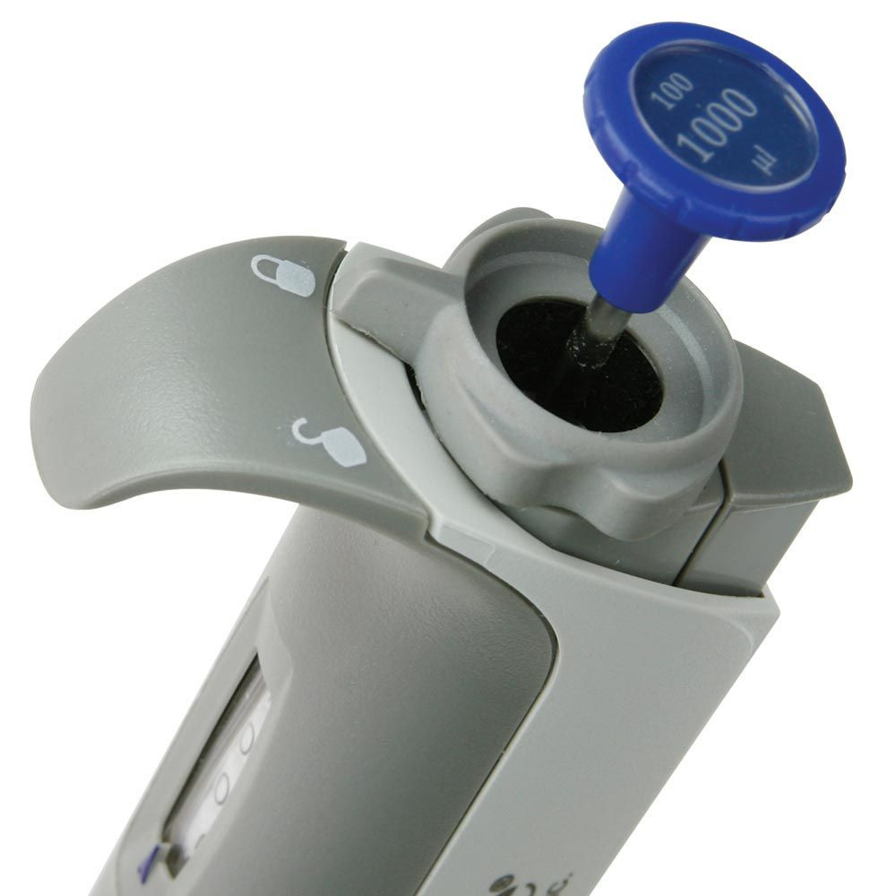 Close-up of a gray and white multichannel pipette with a blue plunger labeled 100-1000 µl.