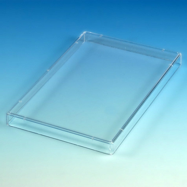 Clear polystyrene microtest plate lid, shown at an angle against a blue gradient background.