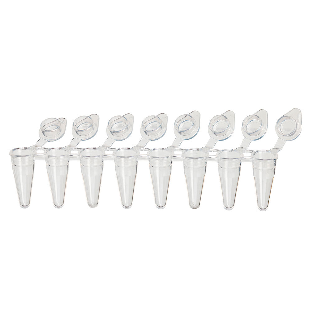 Clear plastic 0.1mL 8-strip PCR tubes with individually attached flat caps open at a 45-degree angle.