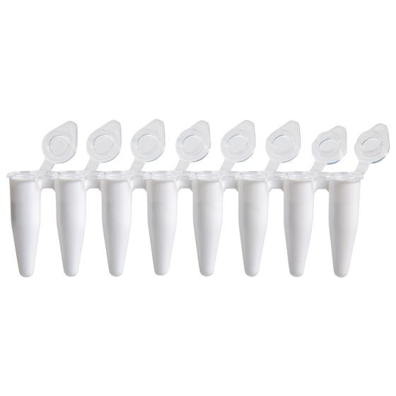An 8-strip of white 0.1mL PCR tubes with attached clear flat caps at 45-degree angles.