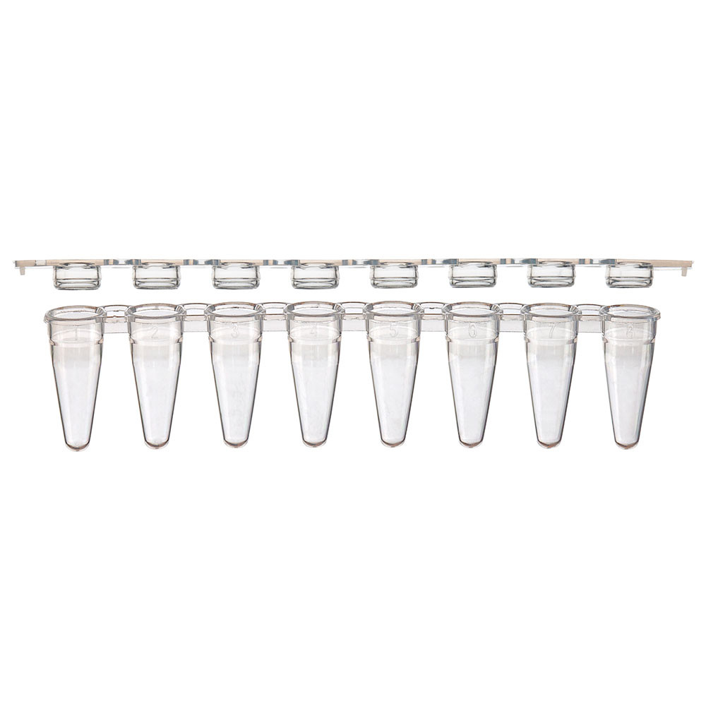 Clear plastic 0.1mL 8-strip PCR tubes and a separate strip of 8 flat caps.