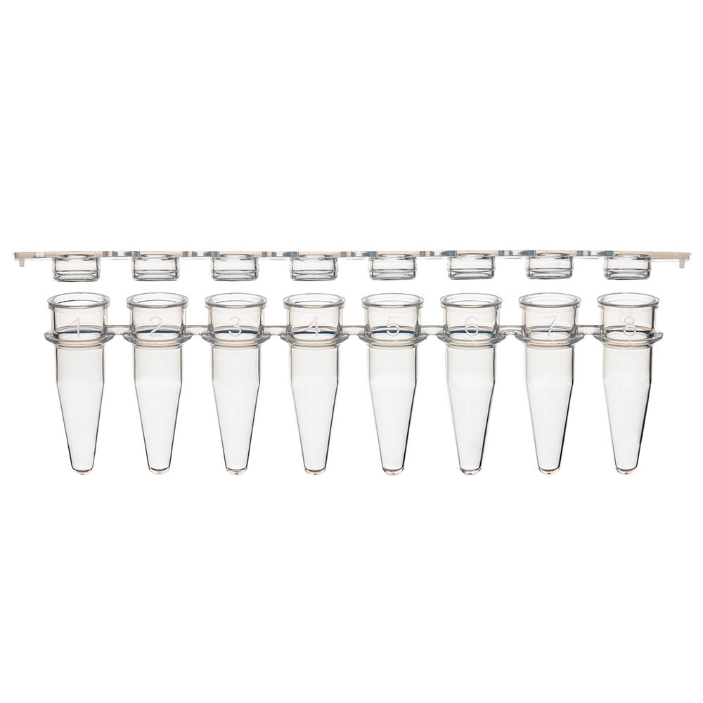 An 8-strip of clear 0.2mL PCR tubes numbered 1 to 8, shown below a matching 8-strip of flat caps.
