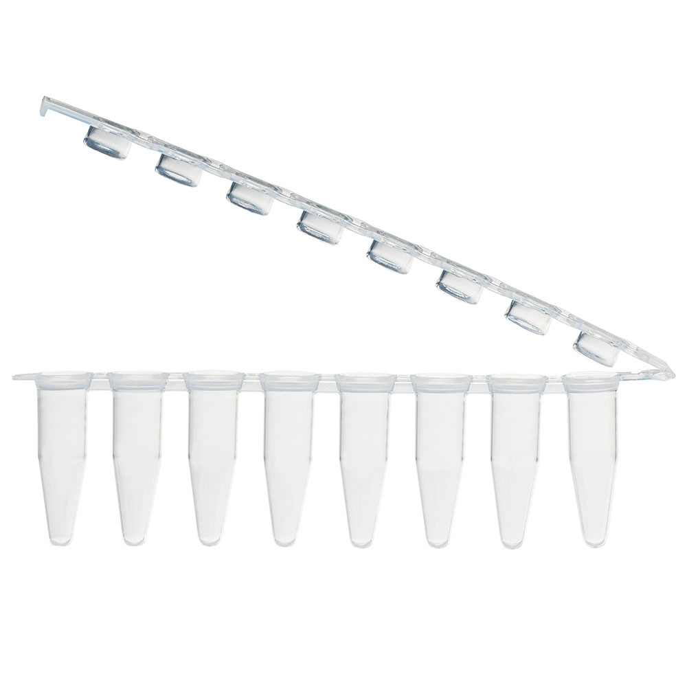 Clear 0.2mL 8-strip PCR tubes with attached flat caps open on a white background.