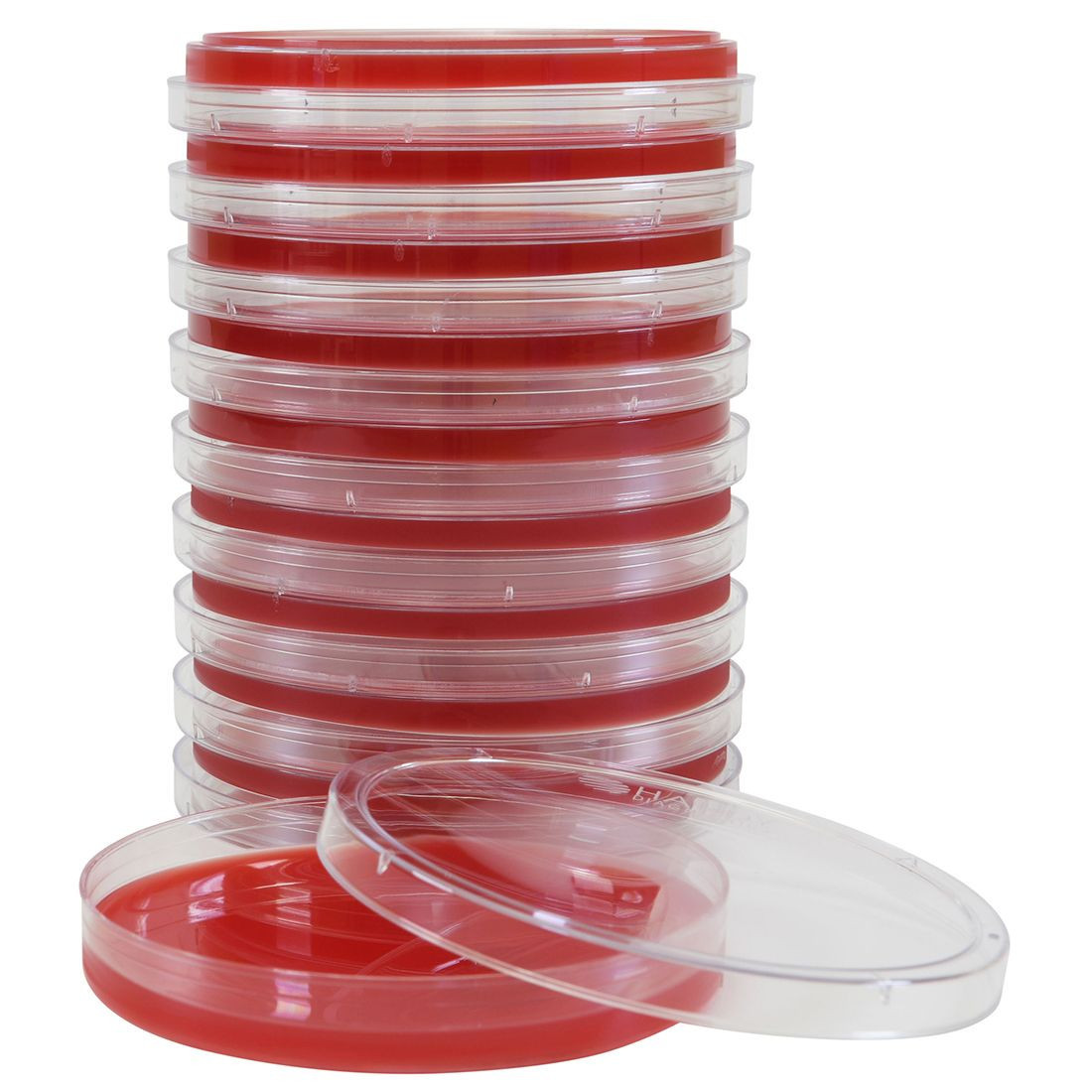A stack of clear plastic Petri dishes filled with red bovine blood agar, with one dish open in front.