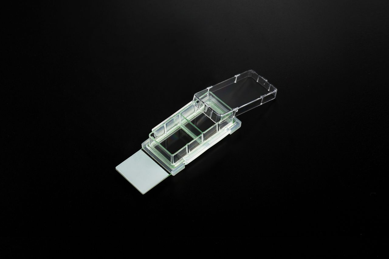 Nest Cell Culture Chamber Slides, 2 well w/glass slide, Clear, 4.55 cm2, 1.2-2.5ml, 6/pk, 12/cs Nest Cell Culture Chamber Slides, 2 well w/glass slide, Clear, 4.55 cm2, 1.2-2.5ml, 6/pk, 12/cs