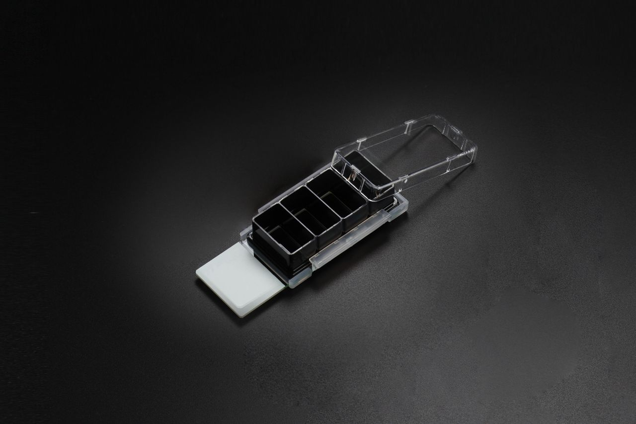 NEST 4-well cell culture chamber slide with black walls and a clear flip-top lid on glass.