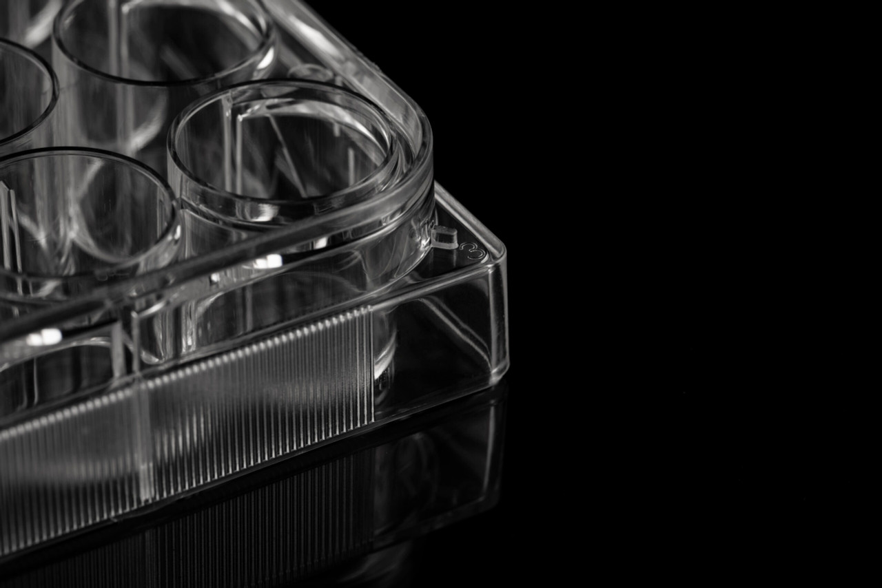 CellMAX 6-well Tissue Culture Treated Plates, Flat Bottom, Sterile, Individually Packaged, 50 plates/case