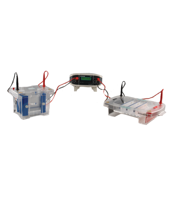 Labnet Enduro 250 Volt Power Supply, 120V